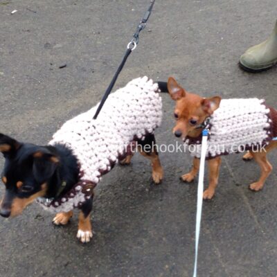 Crochet dog coat – Quick and easy