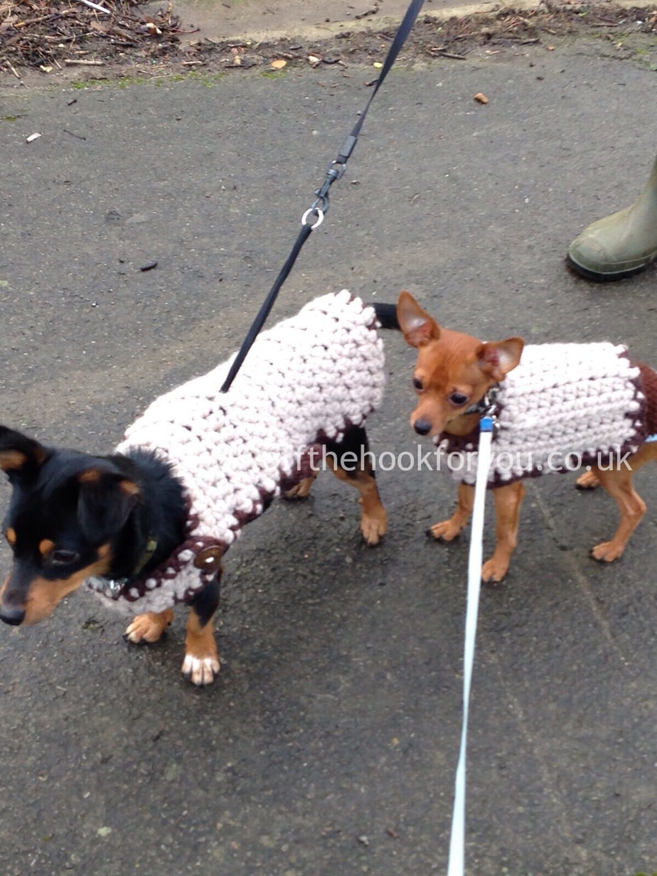 Crochet dog coat Quick and easy off the hook for you