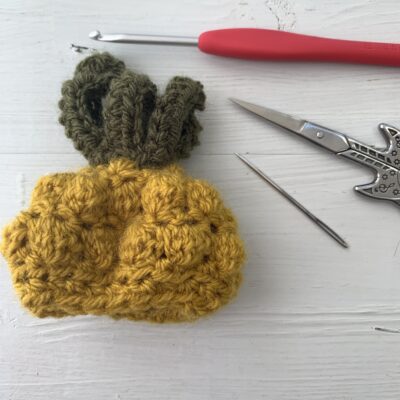 The Big Knit – Hat 9 – Pineapple