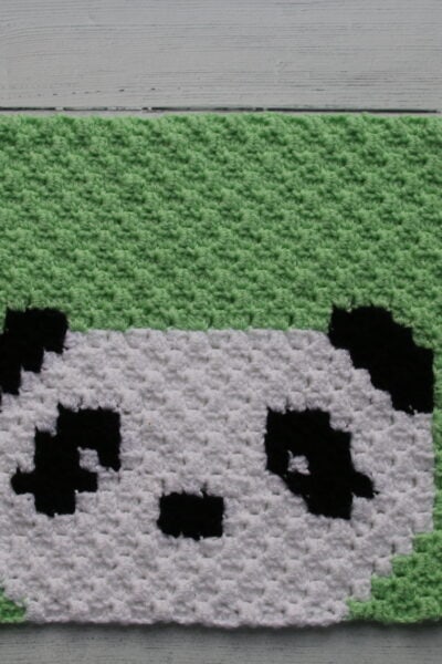 c2c panda crochet graph