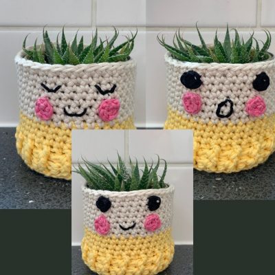 Easy Crochet Plant Pot Cover -Emoji design