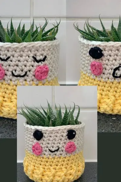Easy crochet plant pot cover