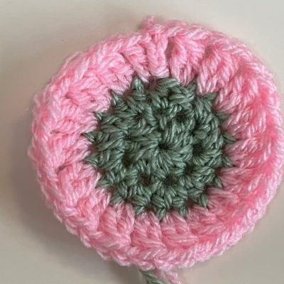 How to do a 2DC Cluster Crochet Stitch (2DCcl)