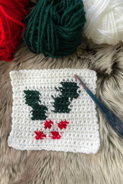 tapestry crochet holly square