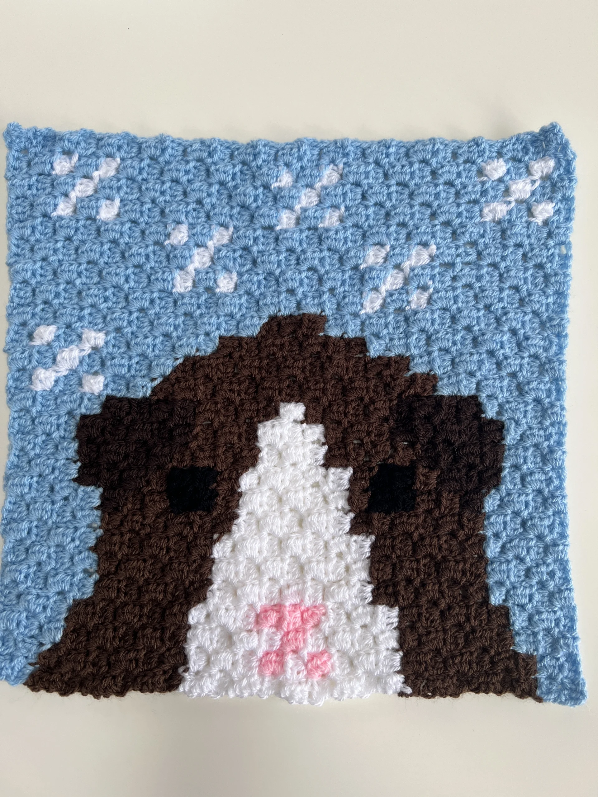 crochet guinea pig blanket chart