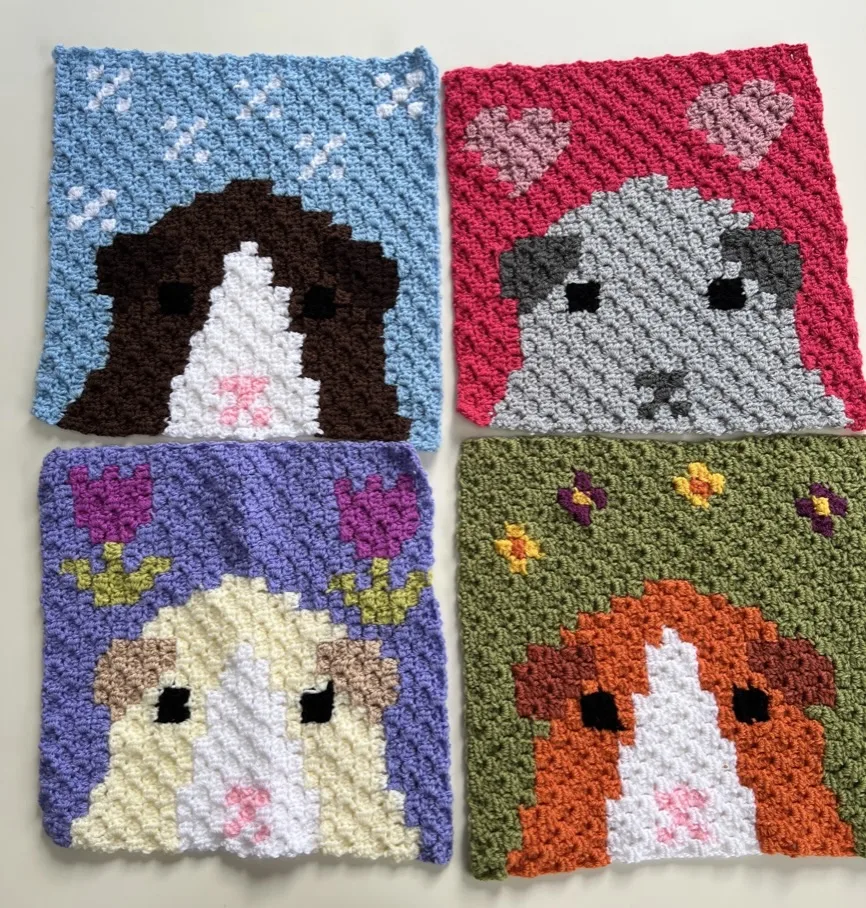 Guinea pig blanket crochet