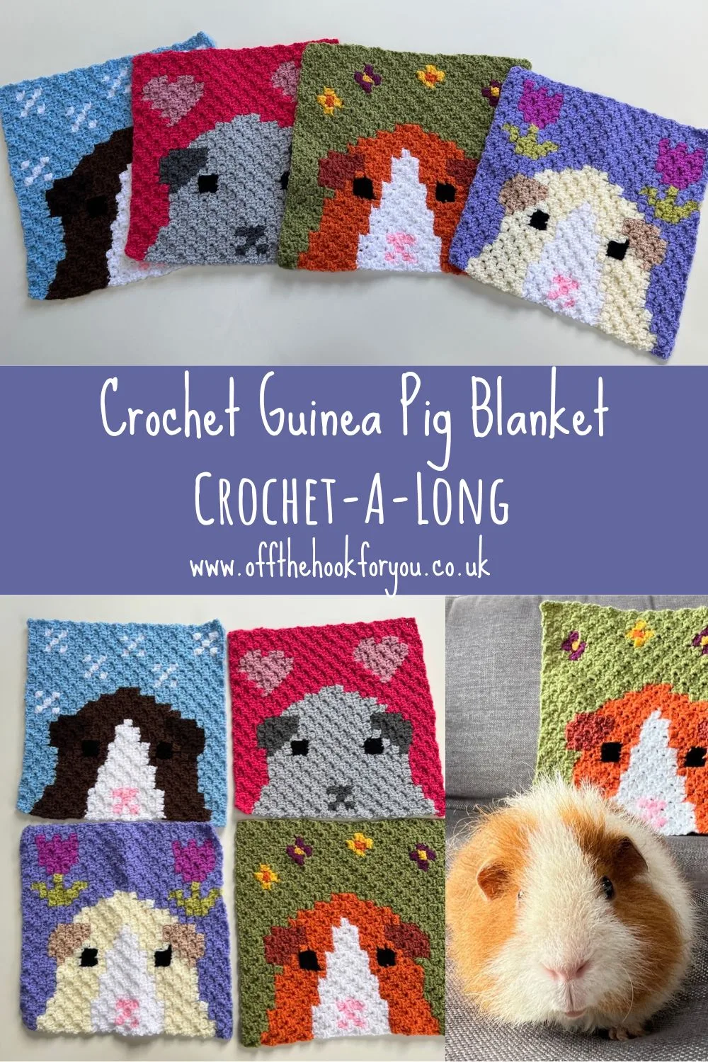 crochet guinea pig blanket C2C