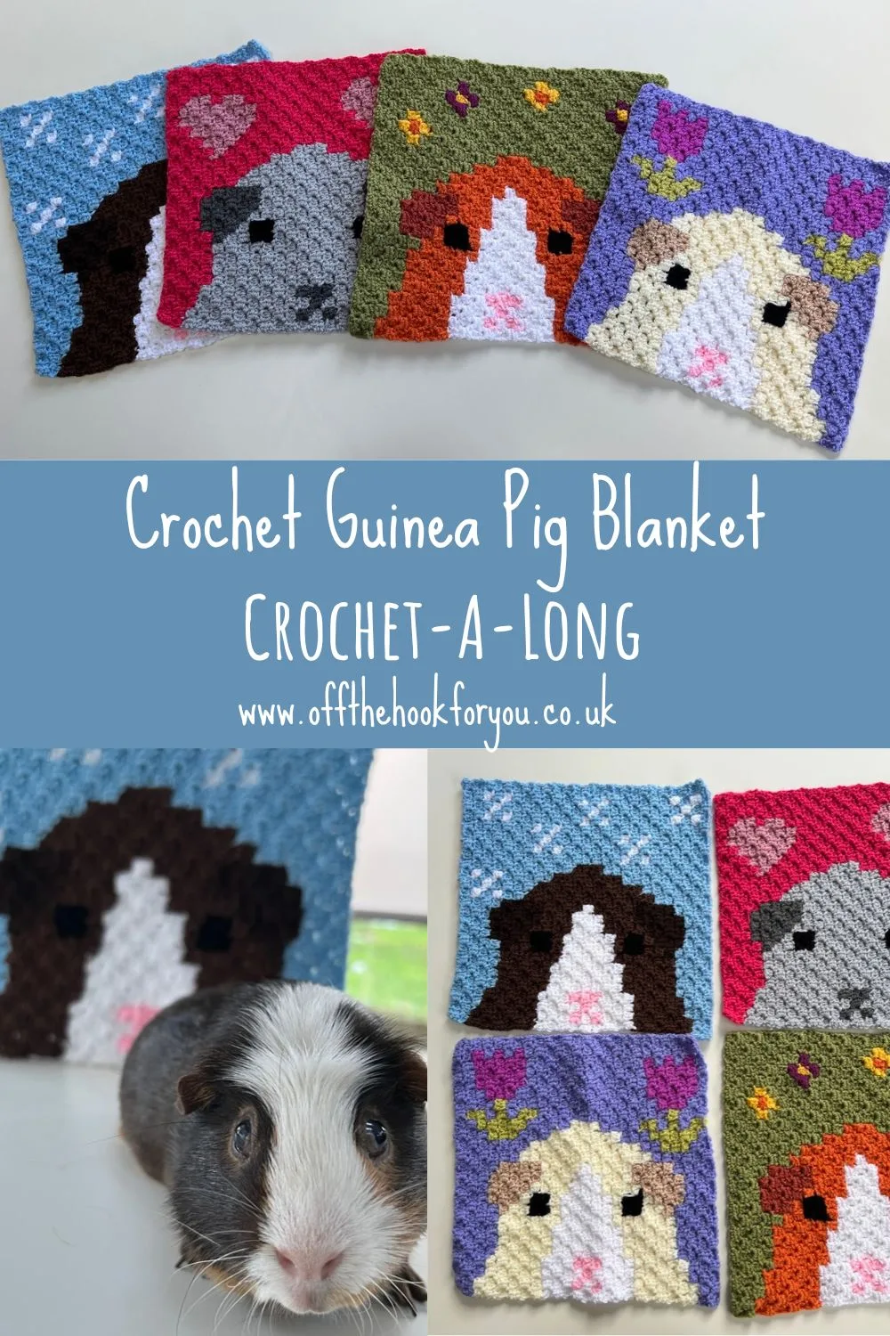Guinea pig blanket easy crochet