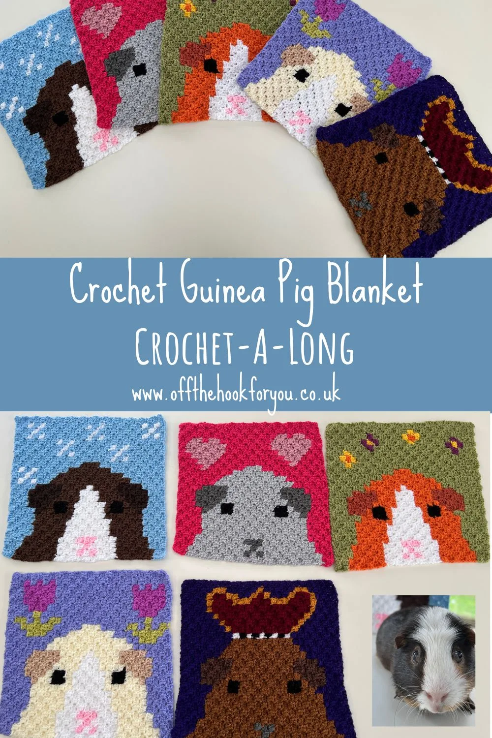 crochet guinea pigs