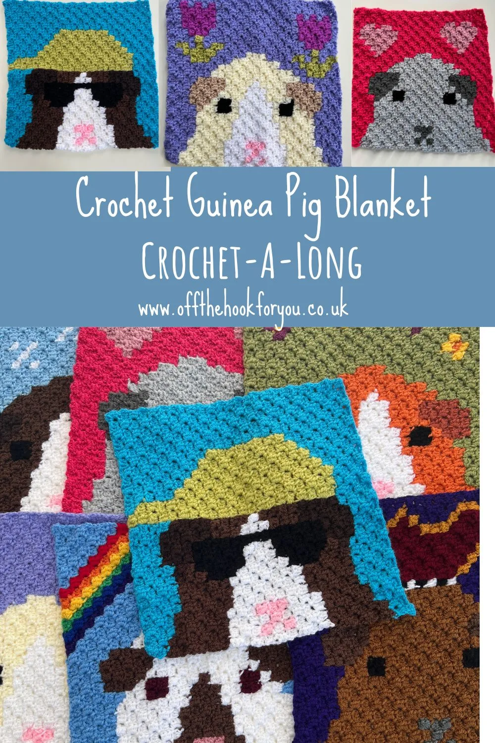 C2C Guinea Pig Crochet blanket
