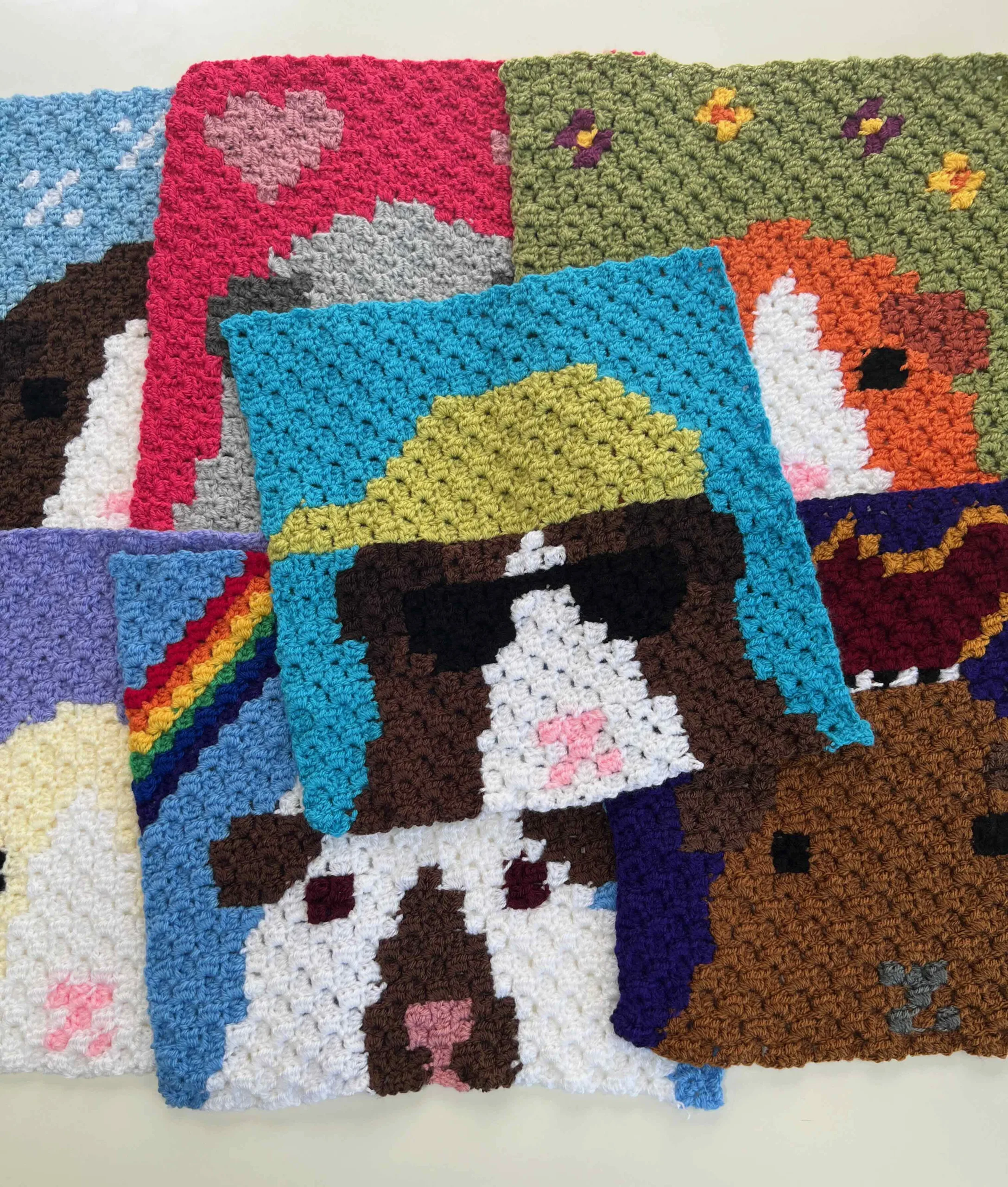crochet guinea pig blanket