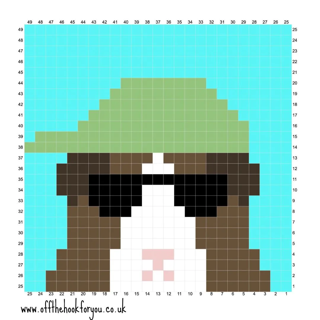 Guinea pig crochet chart summer
