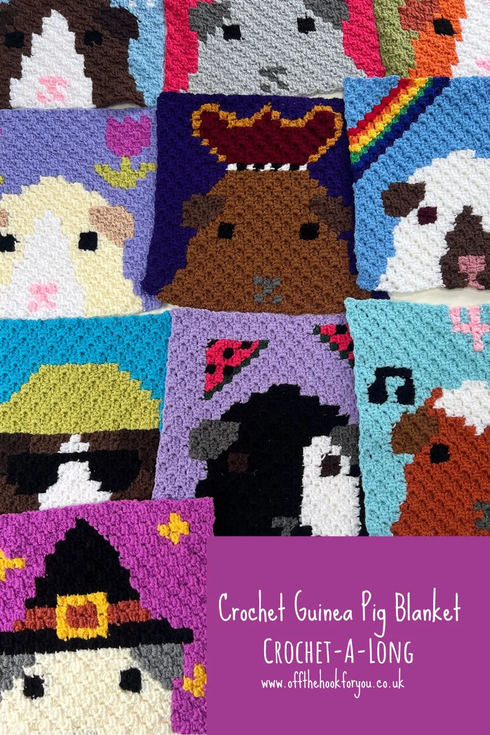 free guinea pig blanket pattern