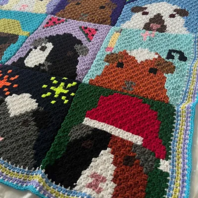 How to crochet a border on a C2C blanket