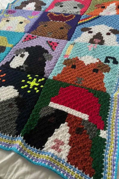 Crochet guinea pig blanket