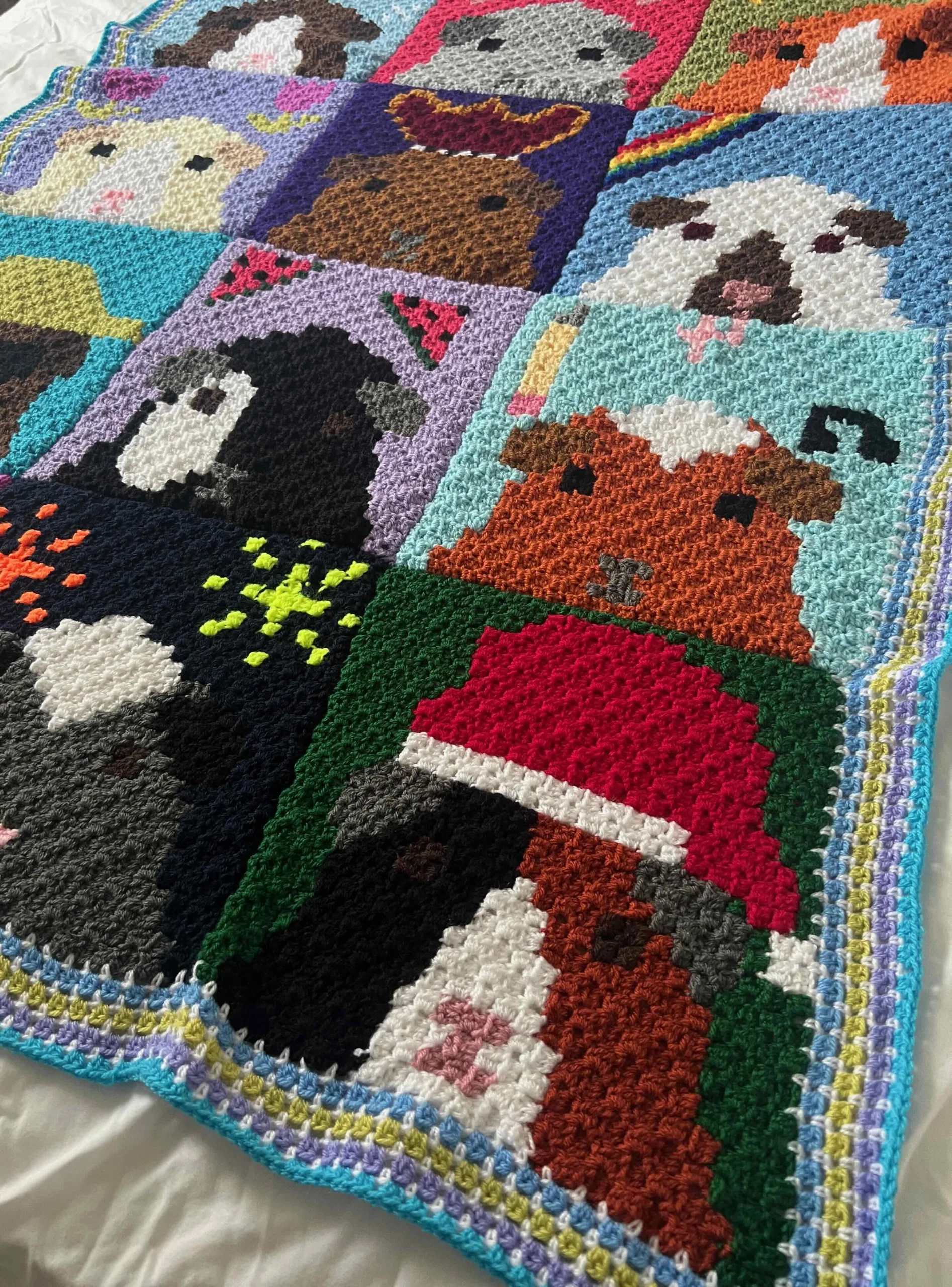 Crochet guinea pig blanket